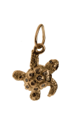 Treasure Hunter Tortoise charm  